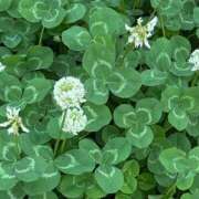 ヒメ日記 2025/06/16 08:01 投稿 アカリ COCOMERO（ココメロ）