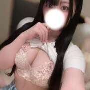 ヒメ日記 2025/07/29 06:31 投稿 アカリ COCOMERO（ココメロ）