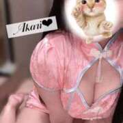 ヒメ日記 2025/10/25 18:01 投稿 アカリ COCOMERO（ココメロ）