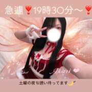 ヒメ日記 2025/12/20 13:31 投稿 アカリ COCOMERO(ココメロ)