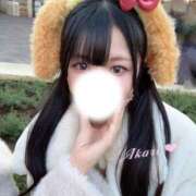 ヒメ日記 2026/02/01 06:31 投稿 アカリ COCOMERO（ココメロ）