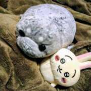 ヒメ日記 2025/12/11 19:17 投稿 あまね クラブダイアモンド日本橋店