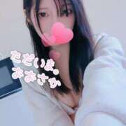 ヒメ日記 2026/02/28 16:29 投稿 あまね クラブダイアモンド日本橋店