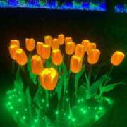 ヒメ日記 2025/01/05 18:40 投稿 ななみ 一宮稲沢小牧ちゃんこ