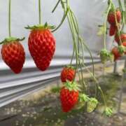 ヒメ日記 2025/02/21 17:05 投稿 ななみ 一宮稲沢小牧ちゃんこ