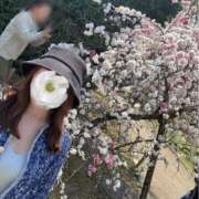 ヒメ日記 2025/04/17 15:42 投稿 杏野 紫 大阪貴楼館