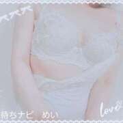 ヒメ日記 2025/03/19 07:45 投稿 めい 待ちナビ