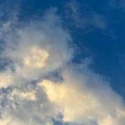 ヒメ日記 2025/12/18 13:51 投稿 りんご 池袋サンキュー