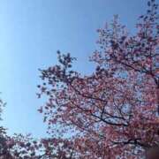 りんご 車椅子嬢だよ🍎 池袋サンキュー