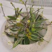 ヒメ日記 2025/05/17 23:42 投稿 さつき 人妻小旅行