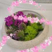 ヒメ日記 2025/08/01 20:27 投稿 さつき 人妻小旅行