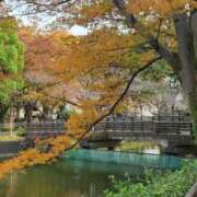 ヒメ日記 2025/11/15 21:07 投稿 さつき 人妻小旅行