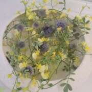 ヒメ日記 2025/11/25 09:17 投稿 さつき 人妻小旅行