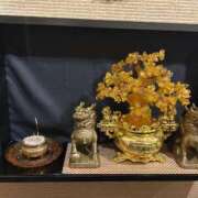 ヒメ日記 2025/02/13 22:41 投稿 瑠璃(るり) 渋谷蘭の会