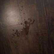 ヒメ日記 2025/02/23 21:02 投稿 瑠璃(るり) 渋谷蘭の会