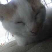 ヒメ日記 2025/02/16 07:56 投稿 安藤【あんどう】 丸妻 西船橋店