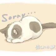 ヒメ日記 2025/03/08 00:20 投稿 佳／よい 大宮人妻セレブリティ（ユメオト）