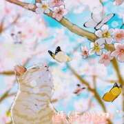 ヒメ日記 2025/03/21 15:02 投稿 佳／よい 大宮人妻セレブリティ（ユメオト）