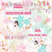 ヒメ日記 2025/03/23 12:30 投稿 佳／よい 大宮人妻セレブリティ（ユメオト）