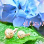 ヒメ日記 2025/06/12 20:24 投稿 佳／よい 大宮人妻セレブリティ（ユメオト）