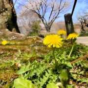 ヒメ日記 2026/04/04 17:36 投稿 佳／よい 大宮人妻セレブリティ（ユメオト）