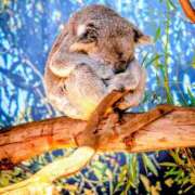 ヒメ日記 2026/04/05 21:58 投稿 佳／よい 大宮人妻セレブリティ（ユメオト）