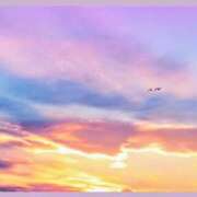 佳／よい ❁⃘*.ﾟ Thank you for being you.💐✨ ❁⃘*.ﾟ 大宮人妻セレブリティ（ユメオト）