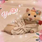佳／よい ❁⃘*.ﾟ AI佳嬢❁⃘*.ﾟ🐹､本日も愛‪🫶🏻︎‪💕︎︎は濃いめ❤️‍🔥です♡❁⃘*.ﾟ 大宮人妻セレブリティ（ユメオト）