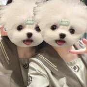 ヒメ日記 2025/05/25 00:34 投稿 はる ビデオDEはんど 名古屋校