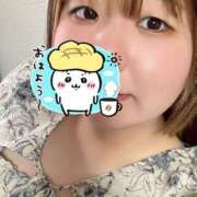 める 出勤！ 千葉松戸ちゃんこ