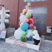 ヒメ日記 2024/12/17 11:46 投稿 みゆう 横浜泡洗体デラックスエステ