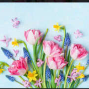 ヒメ日記 2025/03/04 12:13 投稿 あかね もしも素敵な妻が指輪をはずしたら・・・カーラ