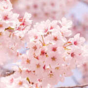 ヒメ日記 2025/03/28 12:05 投稿 あかね もしも素敵な妻が指輪をはずしたら・・・カーラ