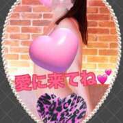 ヒメ日記 2025/04/04 15:24 投稿 ゆな ワンダフル