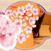 ヒメ日記 2025/04/08 07:58 投稿 ゆな ワンダフル