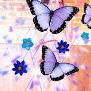 ヒメ日記 2025/08/22 10:08 投稿 ゆな ワンダフル