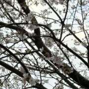 ヒメ日記 2026/04/02 13:18 投稿 ゆな ワンダフル