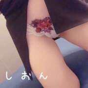 ヒメ日記 2025/08/12 12:18 投稿 しおん DRAMA（ドラマ）