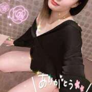 ヒメ日記 2025/02/07 23:27 投稿 ここ 和楽(わらく)