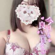 ヒメ日記 2025/05/26 18:57 投稿 にこり もみもみワンダーランド