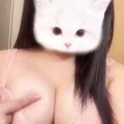 ヒメ日記 2025/07/11 17:03 投稿 にこり もみもみワンダーランド