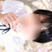 ヒメ日記 2026/05/29 10:01 投稿 ブルマ 千姫(道後)