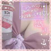 ヒメ日記 2025/02/06 10:38 投稿 フグ　河豚 女の子市場