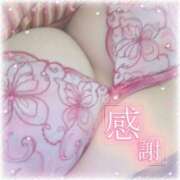 ヒメ日記 2025/03/28 23:58 投稿 フグ　河豚 女の子市場