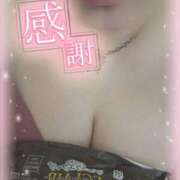 ヒメ日記 2025/03/30 02:33 投稿 フグ　河豚 女の子市場