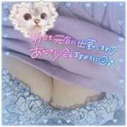 ヒメ日記 2025/03/30 04:28 投稿 フグ　河豚 女の子市場