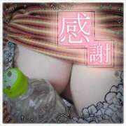 ヒメ日記 2025/03/30 15:28 投稿 フグ　河豚 女の子市場