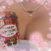 ヒメ日記 2025/05/20 23:08 投稿 フグ　河豚 女の子市場