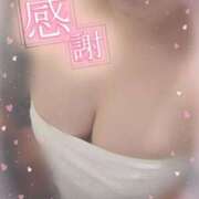 ヒメ日記 2025/06/23 13:38 投稿 フグ　河豚 女の子市場