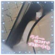 ヒメ日記 2025/06/25 02:28 投稿 フグ　河豚 女の子市場